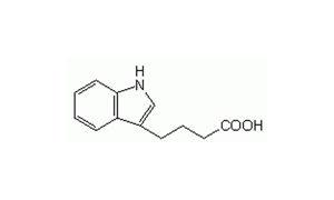 INDOLE-3-BUTYRIC ACID For Biochemistry