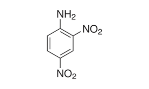 2,4-DINITRO ANILINE For Synthesis