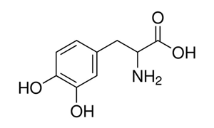 DL-DOPA For Biochemistry