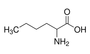 DL-nor-LEUCINE For Biochemistry