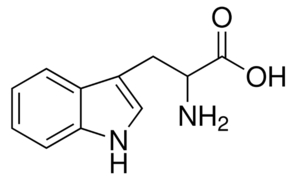 DL-TRYPTOPHAN For Biochemistry