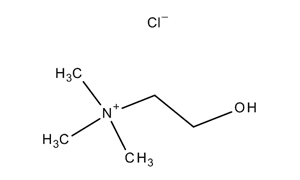 CHOLINE CHLORIDE Extra Pure